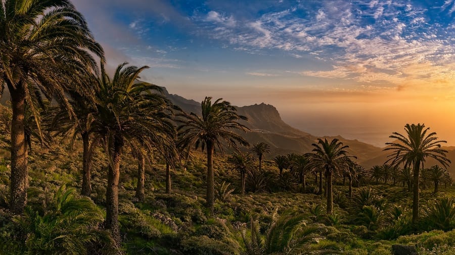 Ciclismo en Canarias: el paraíso para las bicicletas bicicletas en canarias paisaje canarias. bicicletas ciclismo en canarias